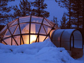 Finland: Igloo Village and Northern Lights Tour