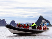 Norway: Whale Watching and Wildlife Holidays Norway